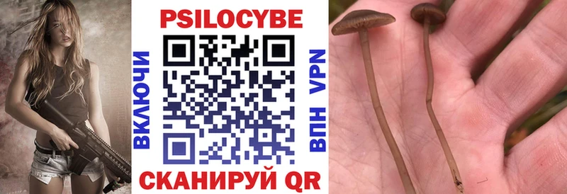 Галлюциногенные грибы Cubensis  сколько стоит  Павловск 